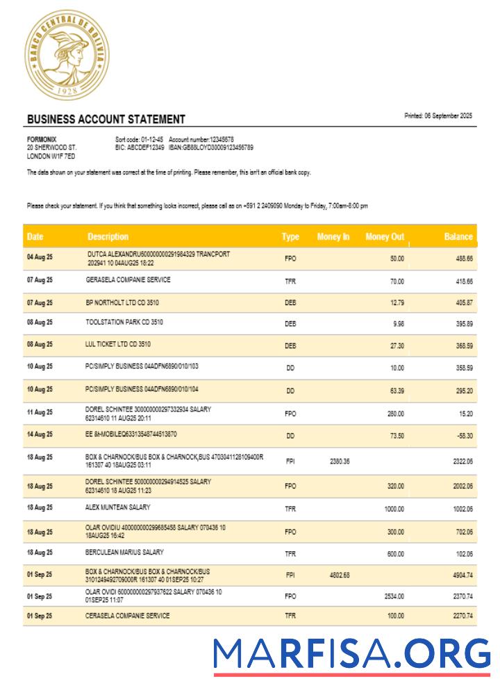 Printable Banco Central de Bolivian enterprise statement Word and PDF format example